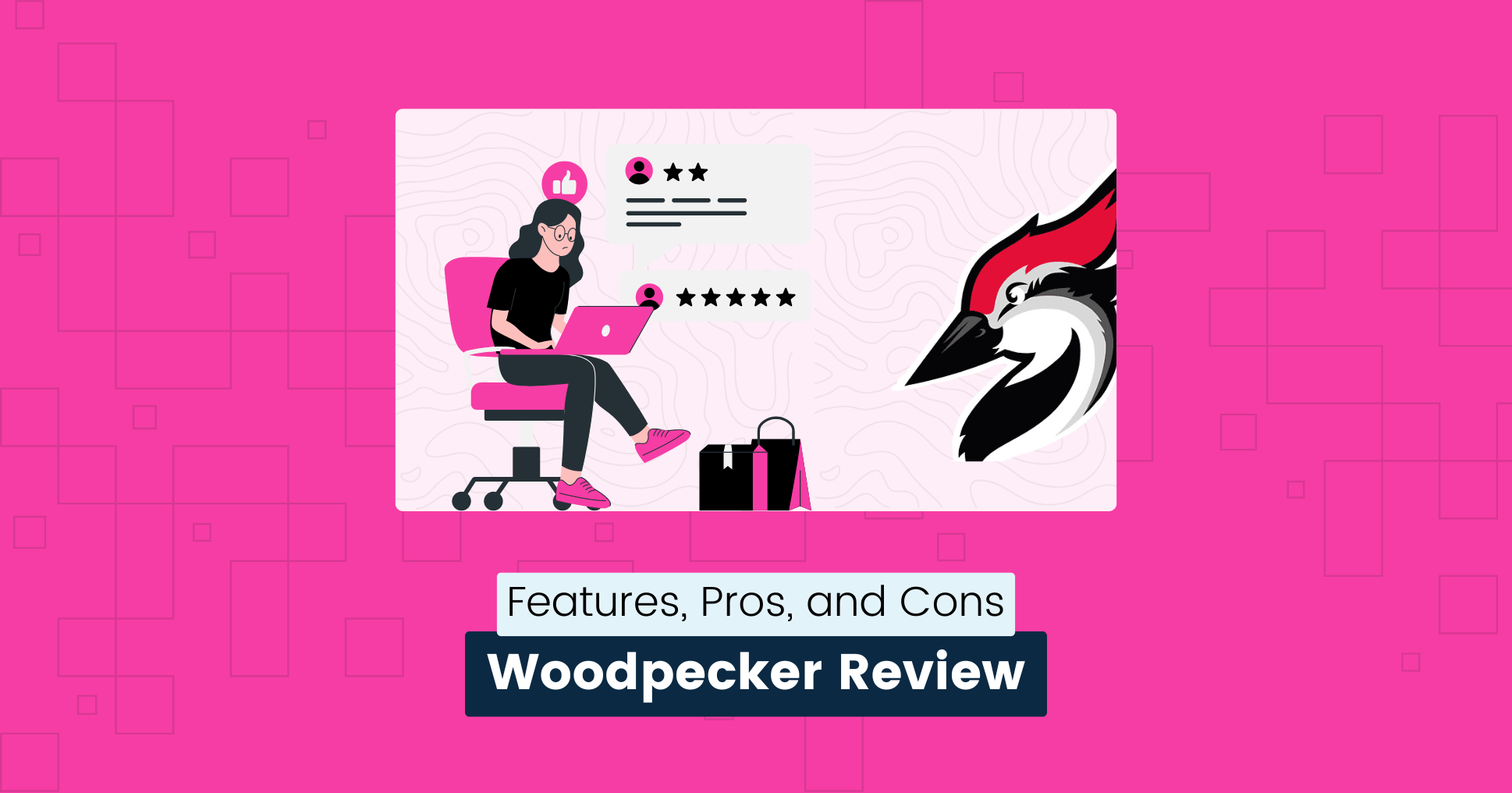 cover img from Woodpecker Review Insights on Features, Pros, and Cons (2024)